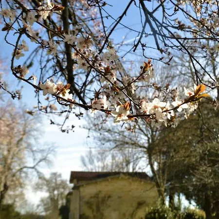 Hotel Relais De Margaux - Hotel, Golf & Spa 4*